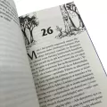 Zemsta oszustów. Akademia Crookhaven. Tom 5 - tantis.pl