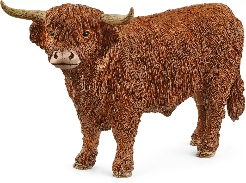 Highland Bull 13919 - tantis.pl