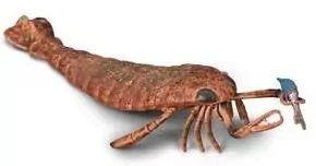 Collecta Jaekelopterus - tantis.pl