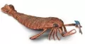 Collecta Jaekelopterus - tantis.pl