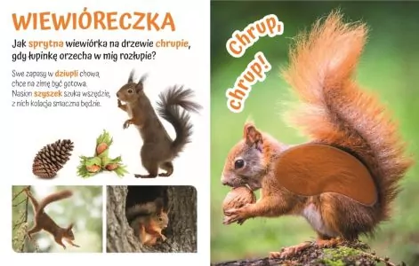 Pogłaszcz dzikie zwierzątko. Przytulki - tantis.pl