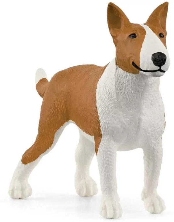 Pies rasy Bulterier 13966 - tantis.pl