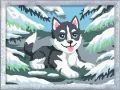 CreArt for Kids Cheeky Husky - tantis.pl