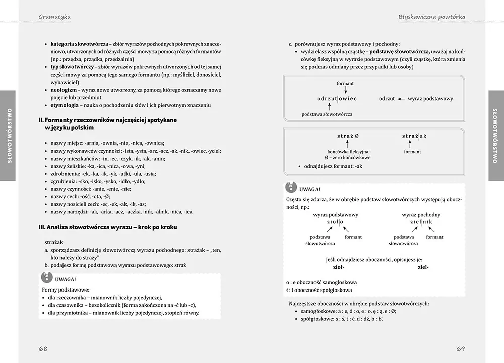 Gramatyka. Wszystkie wymagane wiadomości. Szkoła podstawowa / Liceum - tantis.pl