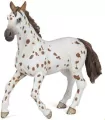 Klacz Appaloosa - tantis.pl