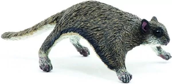 Latająca wiewiórka - tantis.pl