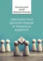Sądownictwo sędziów pokoju w sprawach karnych - tantis.pl