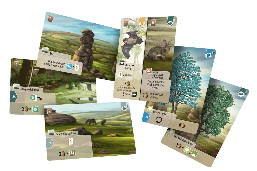 Leśne rozdanie: Dartmoor - tantis.pl