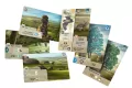 Leśne rozdanie: Dartmoor - tantis.pl