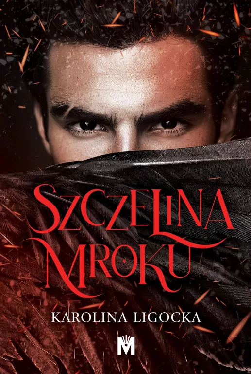 Szczelina mroku - tantis.pl