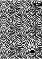 Teczka A4+ z gumką. Black&White zebra - tantis.pl