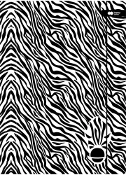 Teczka A4+ z gumką. Black&White zebra