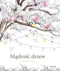 Mądrość drzew (kolorowanka) - tantis.pl