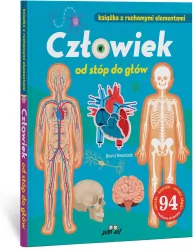 Człowiek od stóp do głów. Książka z ruchomymi el.