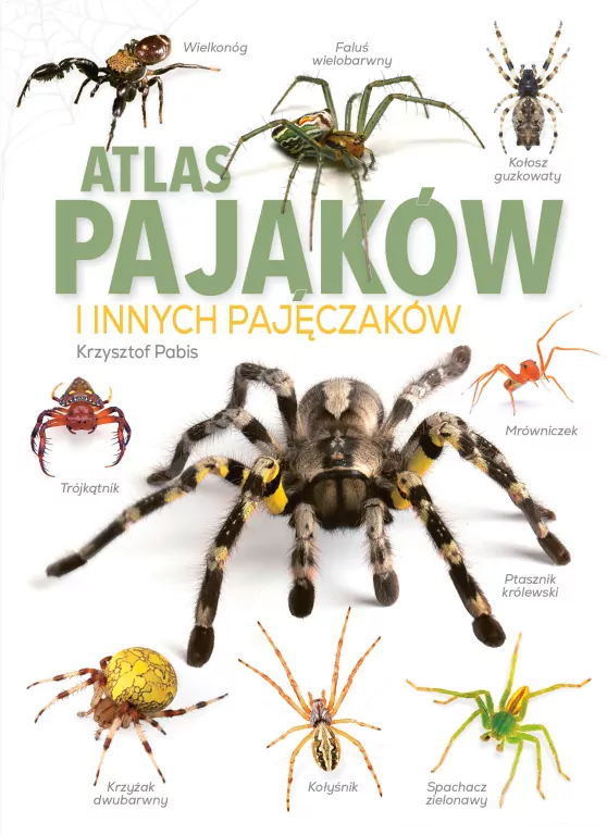 Atlas pająków i innych pajęczaków - tantis.pl