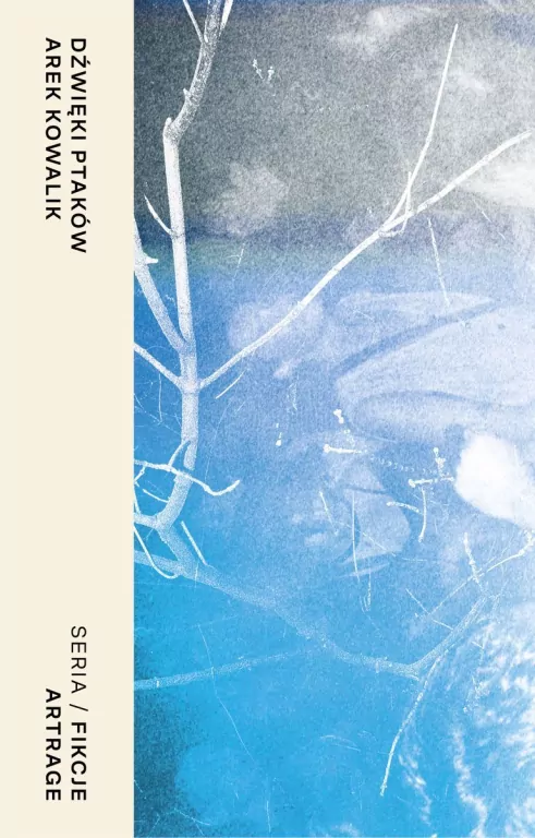 Dźwięki ptaków - tantis.pl