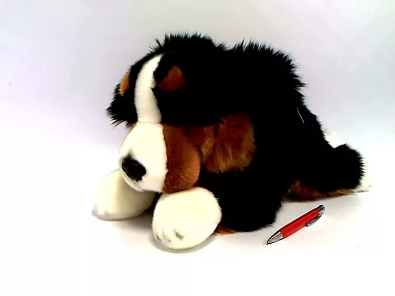 Pies berneński 42cm - tantis.pl