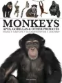 Monkeys - tantis.pl