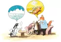 Zbir w lesie. Felek i Tola. Tom 9 - tantis.pl