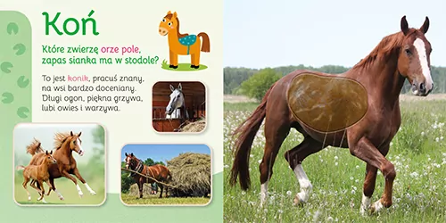 Wieś. Przytul mnie - tantis.pl