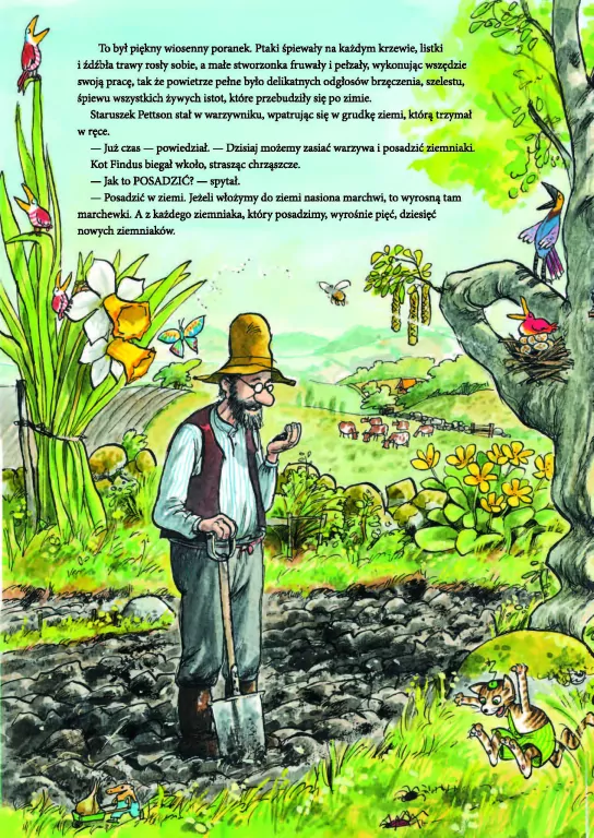 Rwetes w ogrodzie. Pettson i Findus - tantis.pl