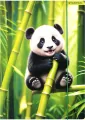 Teczka z gumką A4 Wild Animal mix - tantis.pl
