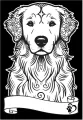 Kolorowanka welwetowa A4 Golden retriever - tantis.pl