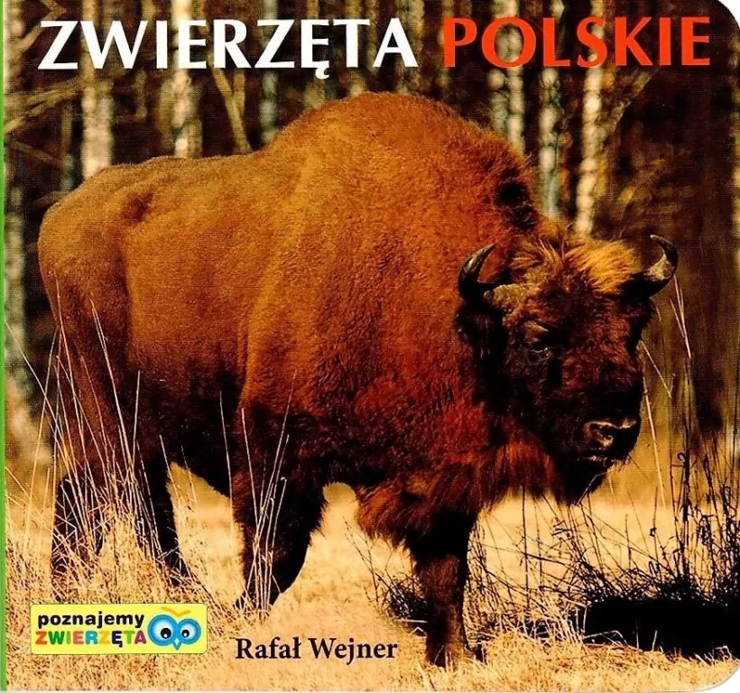 Zwierzęta polskie. Poznajemy zwierzęta - tantis.pl