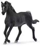 Ogier czystej krwi arabskiej