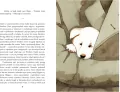Hachiko. O psie, który czekał - tantis.pl