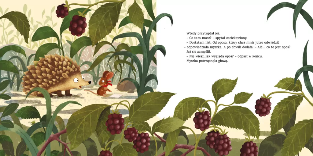 Jak wygląda opos? - tantis.pl