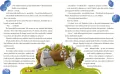 Fela i jej kocie przygody. Kotka ze słonecznych... - tantis.pl
