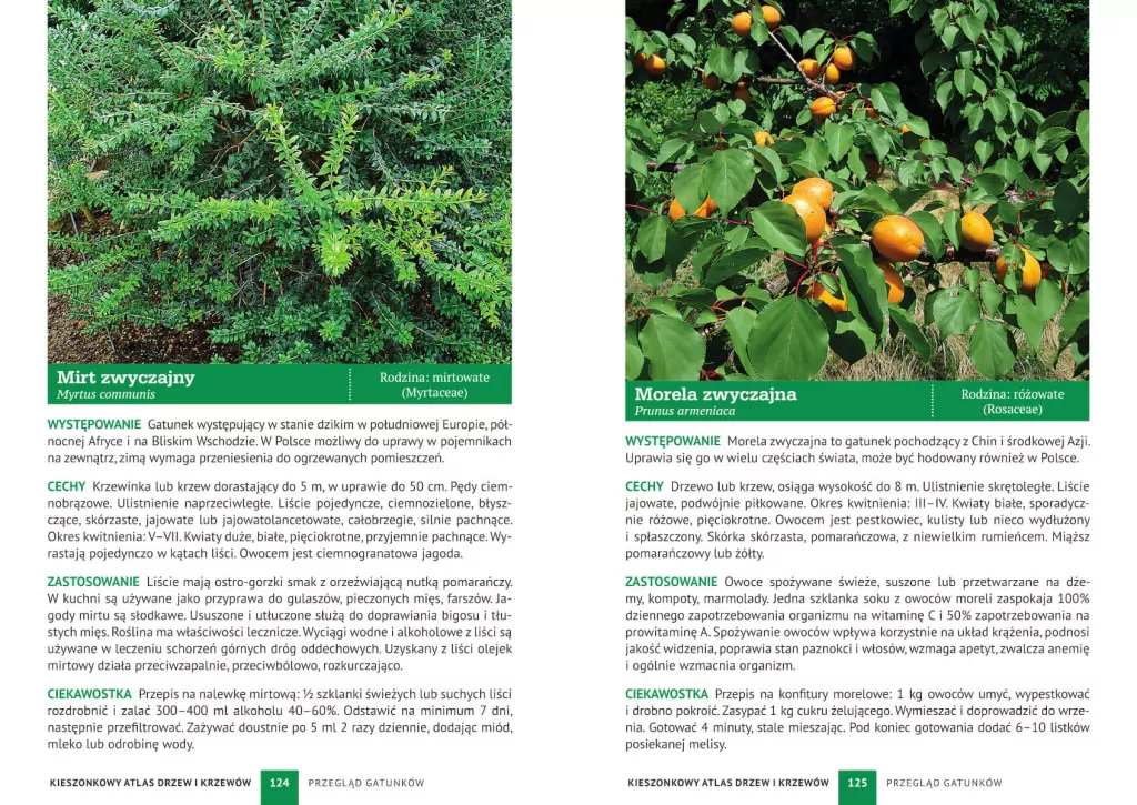 Kieszonkowy atlas drzew i krzewów. 180 gatunków - tantis.pl