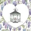 Karnet Swarovski kwadrat CL2410 Altana - tantis.pl