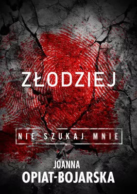 Złodziej. Nie szukaj mnie T.1