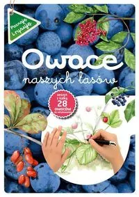 Owoce naszych lasów. Poznaję i rysuję - tantis.pl