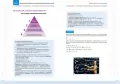 Kompendium - matematyka - liceum/technikum - tantis.pl