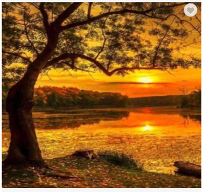 Diamentowa Mozaika Zachód słońca nad moczarami NO-1007414 - tantis.pl