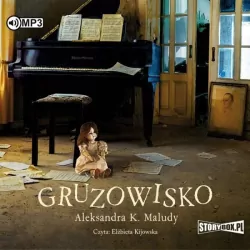 Gruzowisko. Audiobook