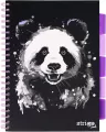 Kołozeszyt Pads A4/100K linia Panda - tantis.pl