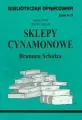 Sklepy cynamonowe Brunona Schulza. Biblioteczka opracowań. Zeszyt nr 13 - tantis.pl