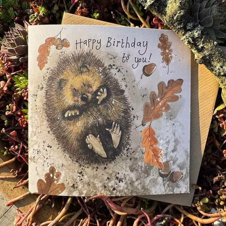 Karnet Urodziny Jeżyk na plecach - tantis.pl