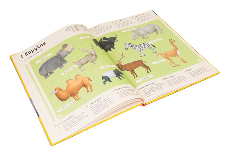 Moje własne zoo. Odkrywamy tajemniczy świat zwierząt - tantis.pl