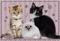 Puzzle 250 Puppy Sign 1 - tantis.pl