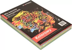 Papier ksero kolory intensywne A4 250 arkuszy, 50 x 5 kolorów