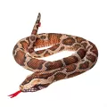 Pyton birmański. Maskotka 180cm - tantis.pl