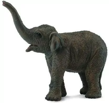 Słoniątko azjatyckie - tantis.pl