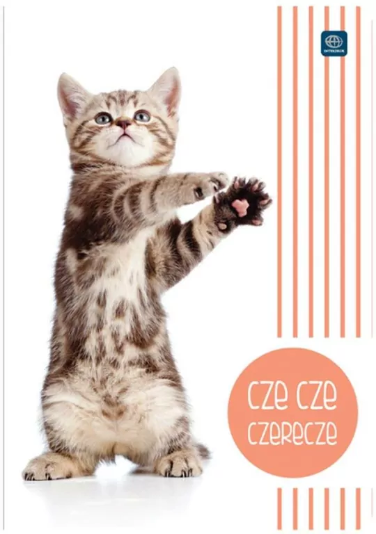 Zeszyt A5/32 kartki  w linie. 1 sztuka - tantis.pl