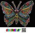 Kolorowanka Welwetowa 47x35 Motyl - tantis.pl