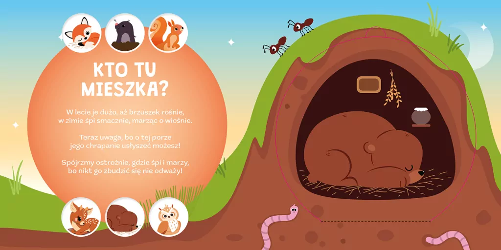 Gdzie się sowa do snu chowa? Kto mieszka w lesie - tantis.pl